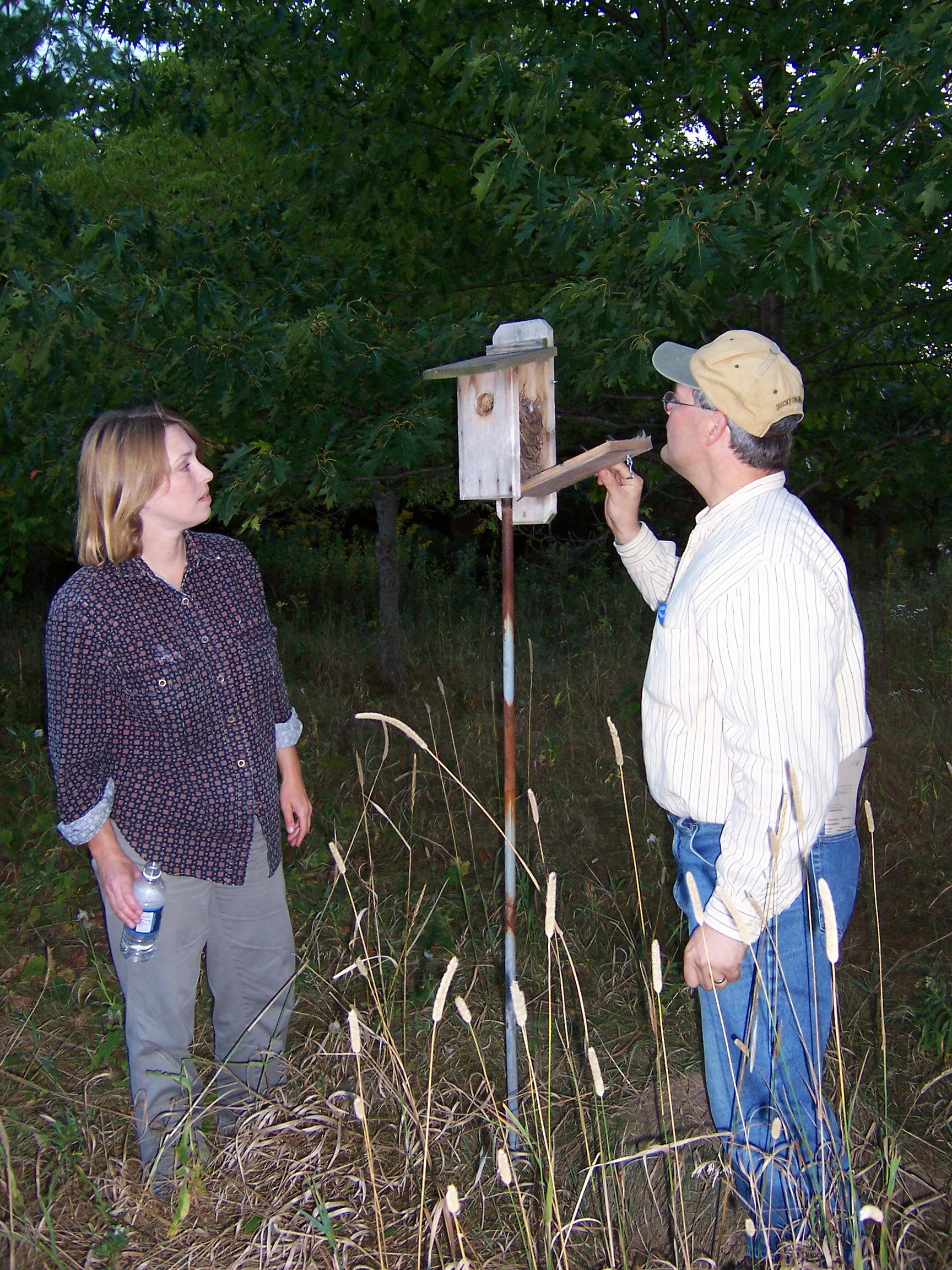 Checking a bird house