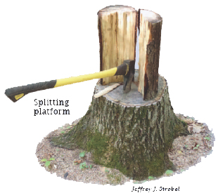 Illustration of splitting wood with an axe