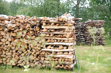 Stacks of firewood