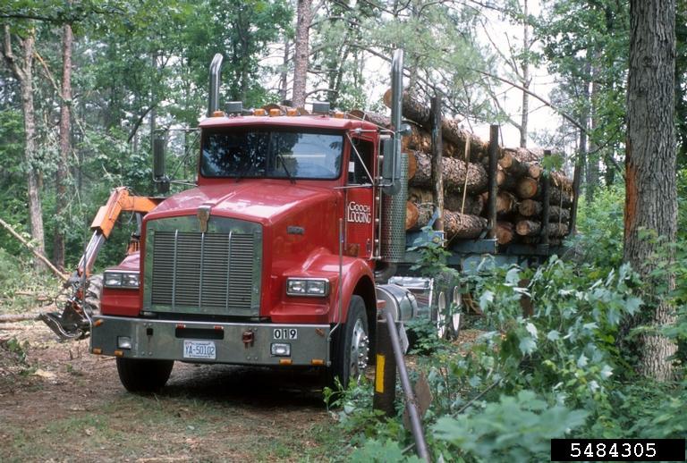 A semi truck loaded with logs