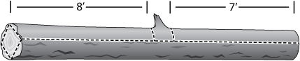 Illustration of the cutting dimensions of a log
