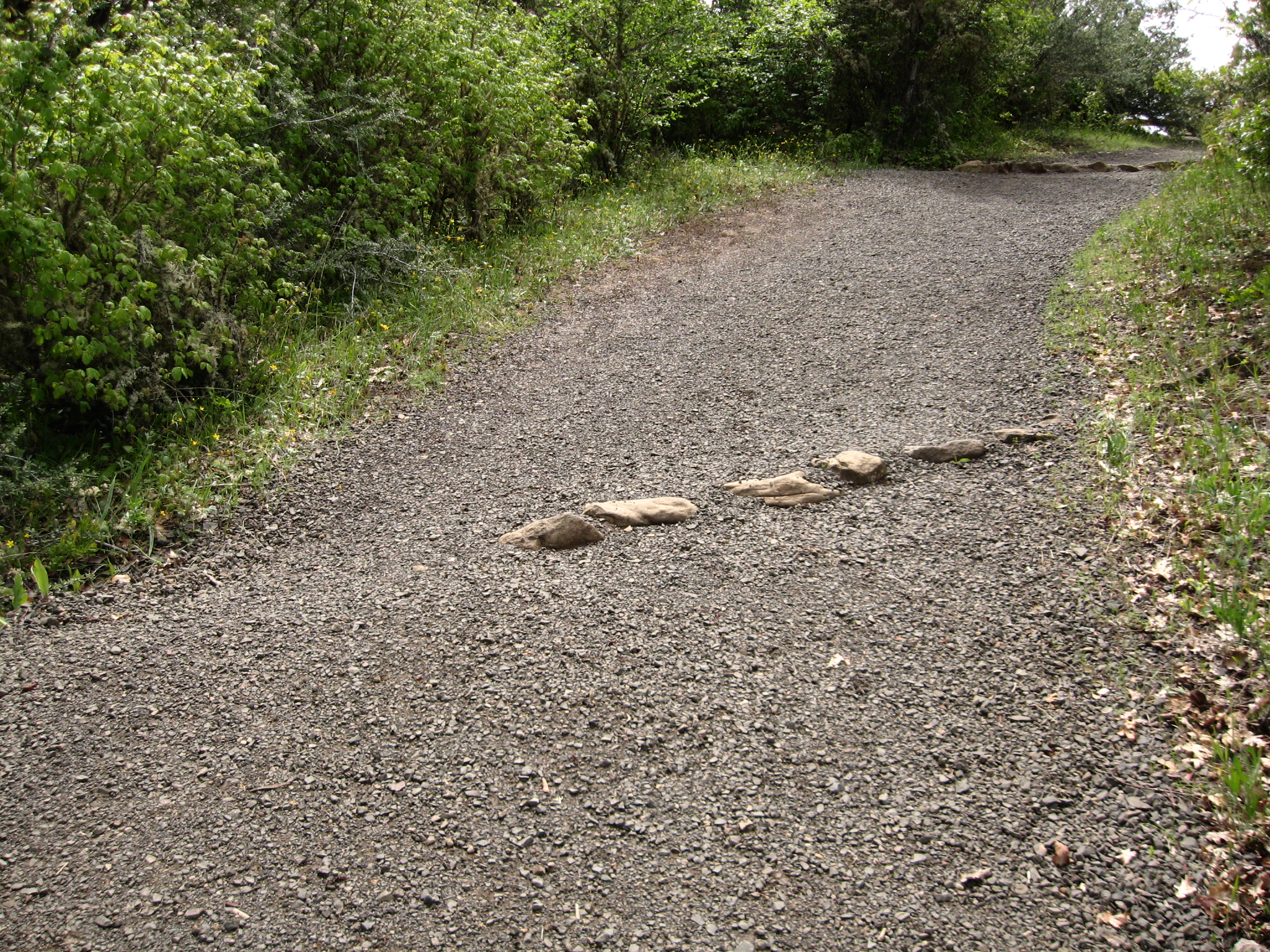 Gravel trail into the woods with table rock water bars to direct water flow