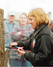 Taking a tree core sample